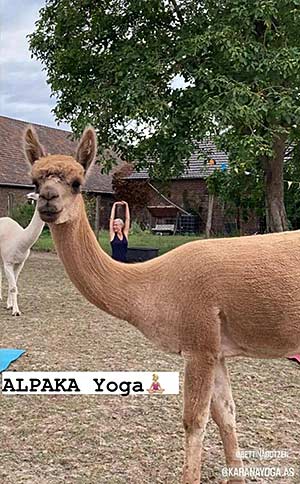 Yoga auf der Alpaka Wiese - Ausblick 2023