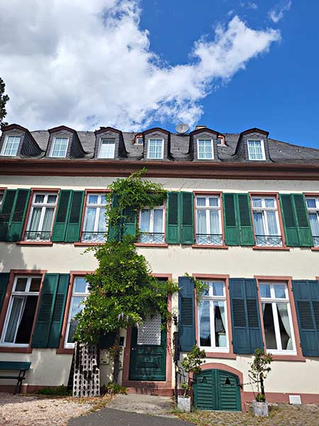 Yoga am romantischen Mittelrhein Yoga am romantischen Mittelrhein